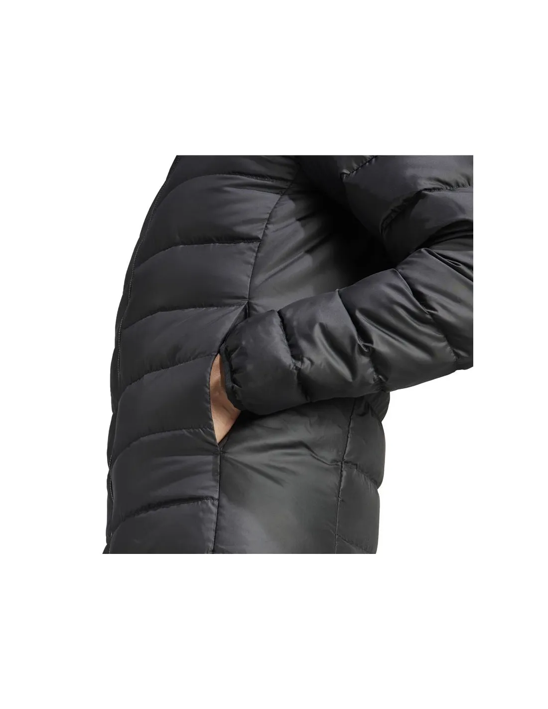 Chaqueta adidas Essentials D H Hombre