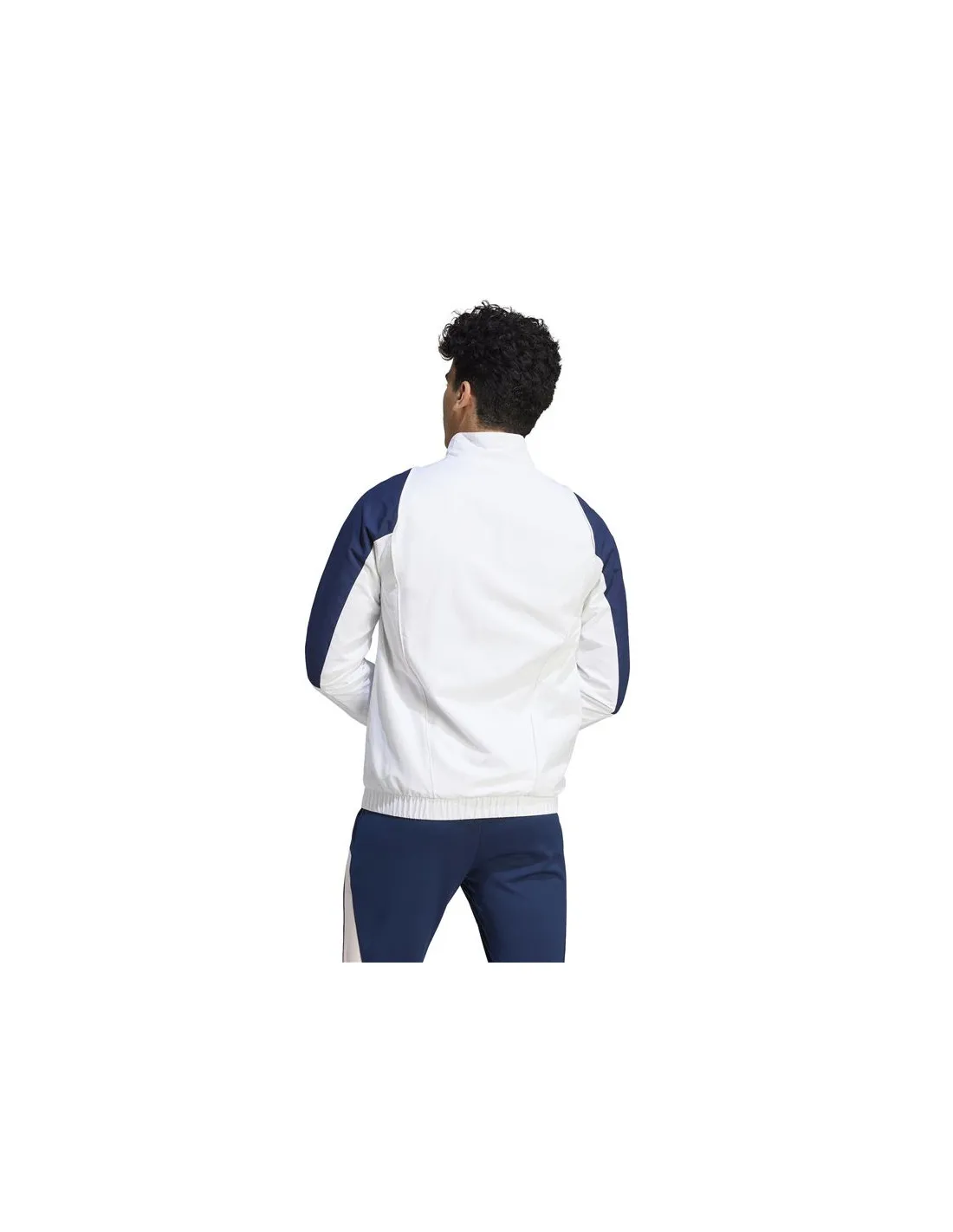 Chaqueta de Fútbol adidas Ajax Pre Hombre