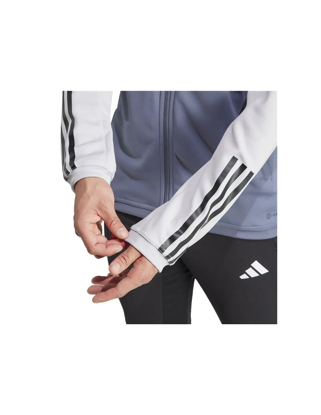 Chaqueta de Fútbol adidas Benfica Trainning Hombre