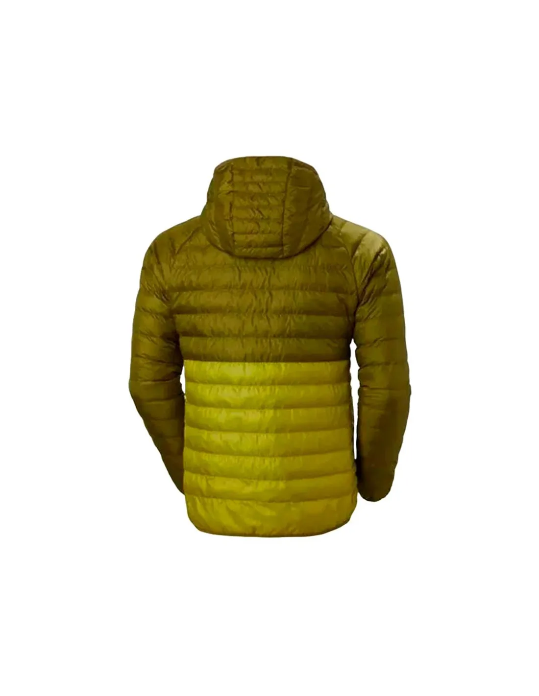 Chaqueta de Montaña Helly Hansen Banff Hooded Insulat Hombre