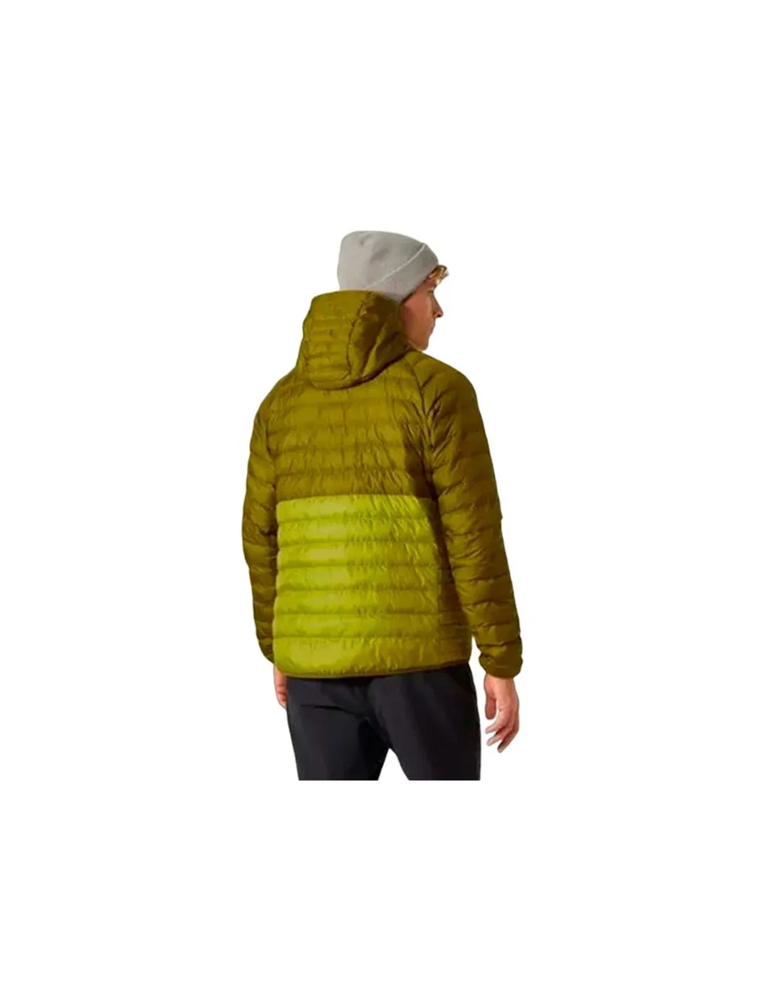 Chaqueta de Montaña Helly Hansen Banff Hooded Insulat Hombre