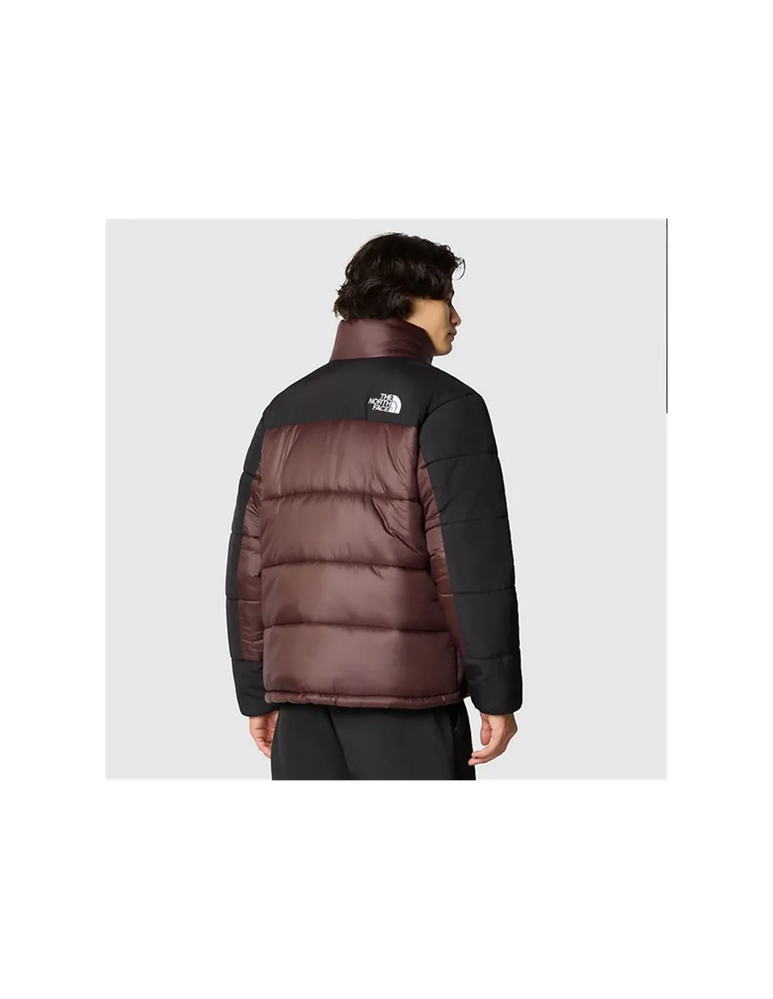 Chaqueta de Montaña The North Face Hmlyn Insulated Brown Hombre
