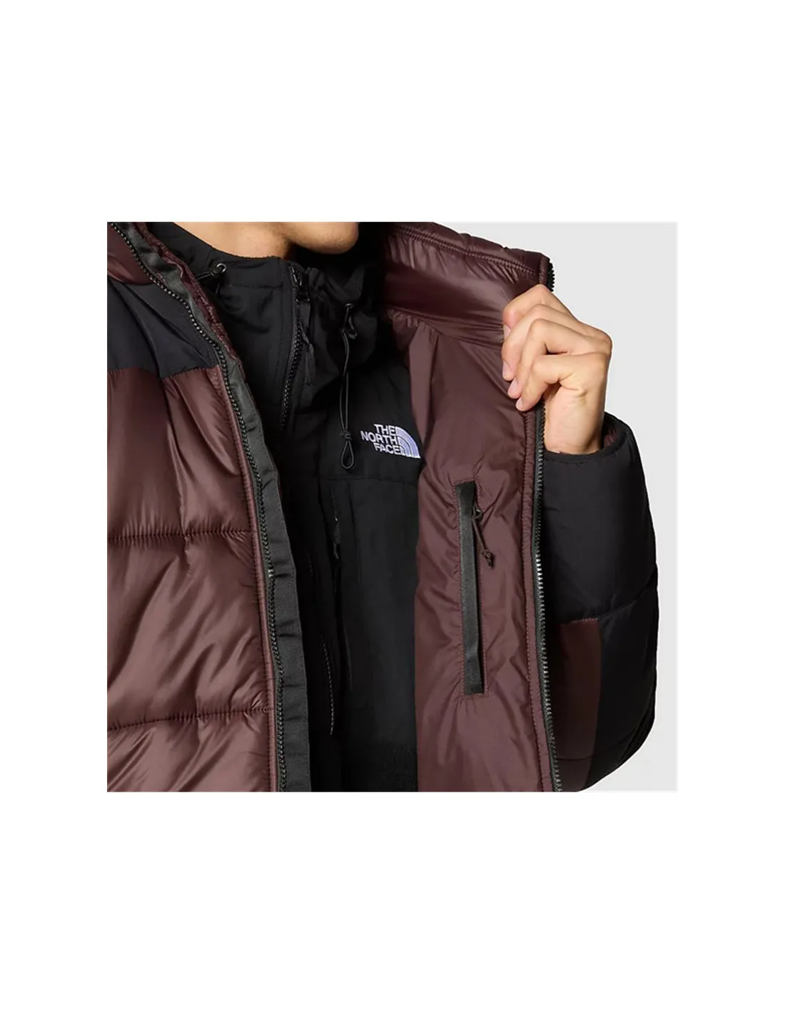 Chaqueta de Montaña The North Face Hmlyn Insulated Brown Hombre