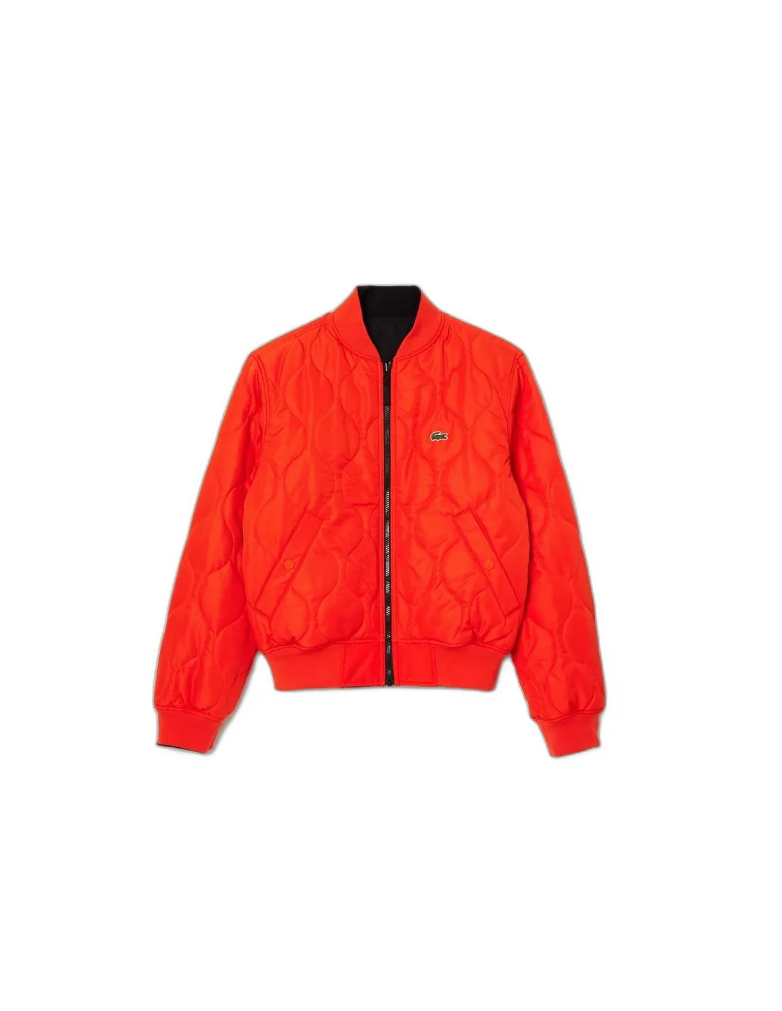 Chaqueta Lacoste Blouson Hombre