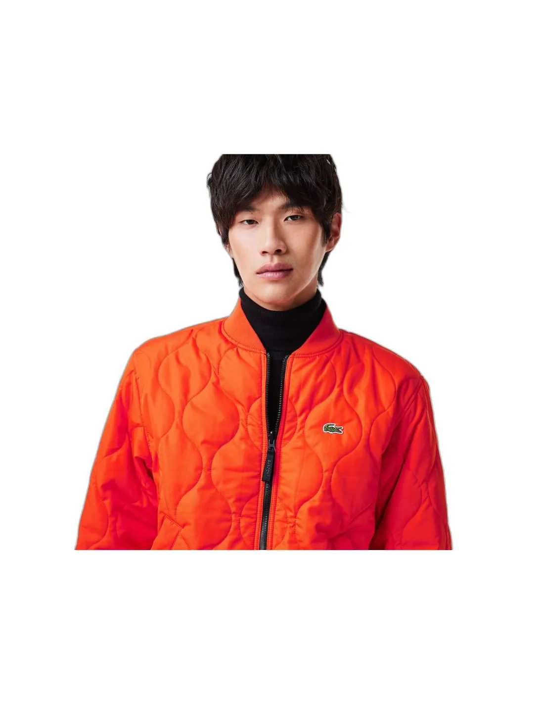 Chaqueta Lacoste Blouson Hombre
