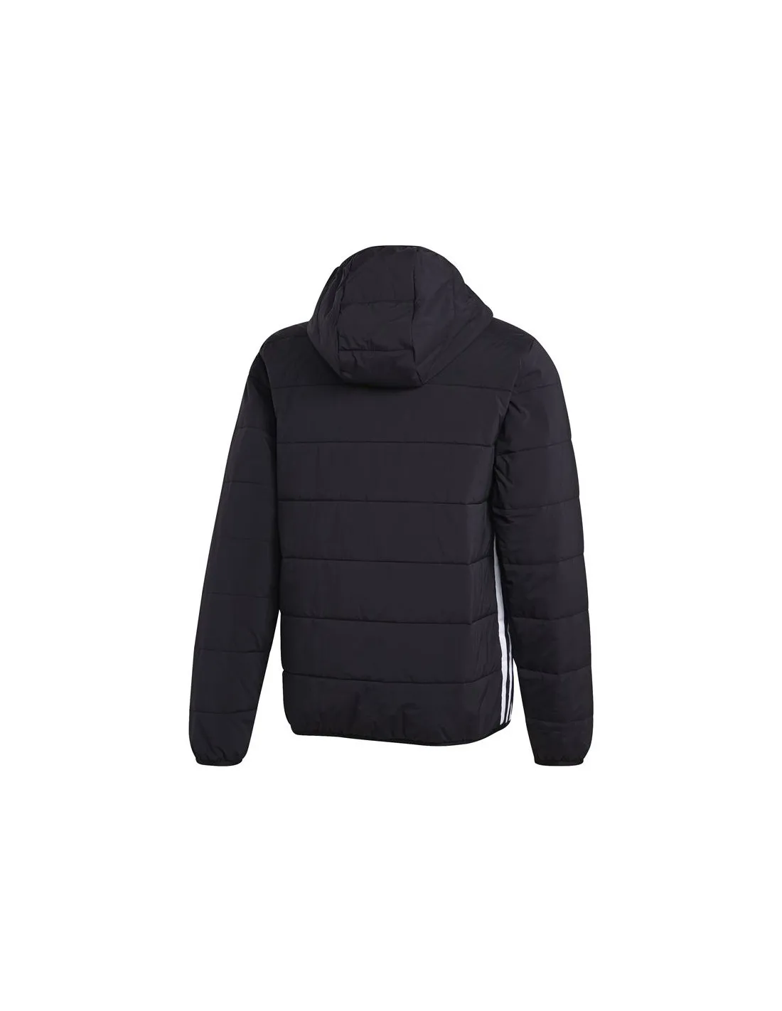 LW ZT TRF HOODY