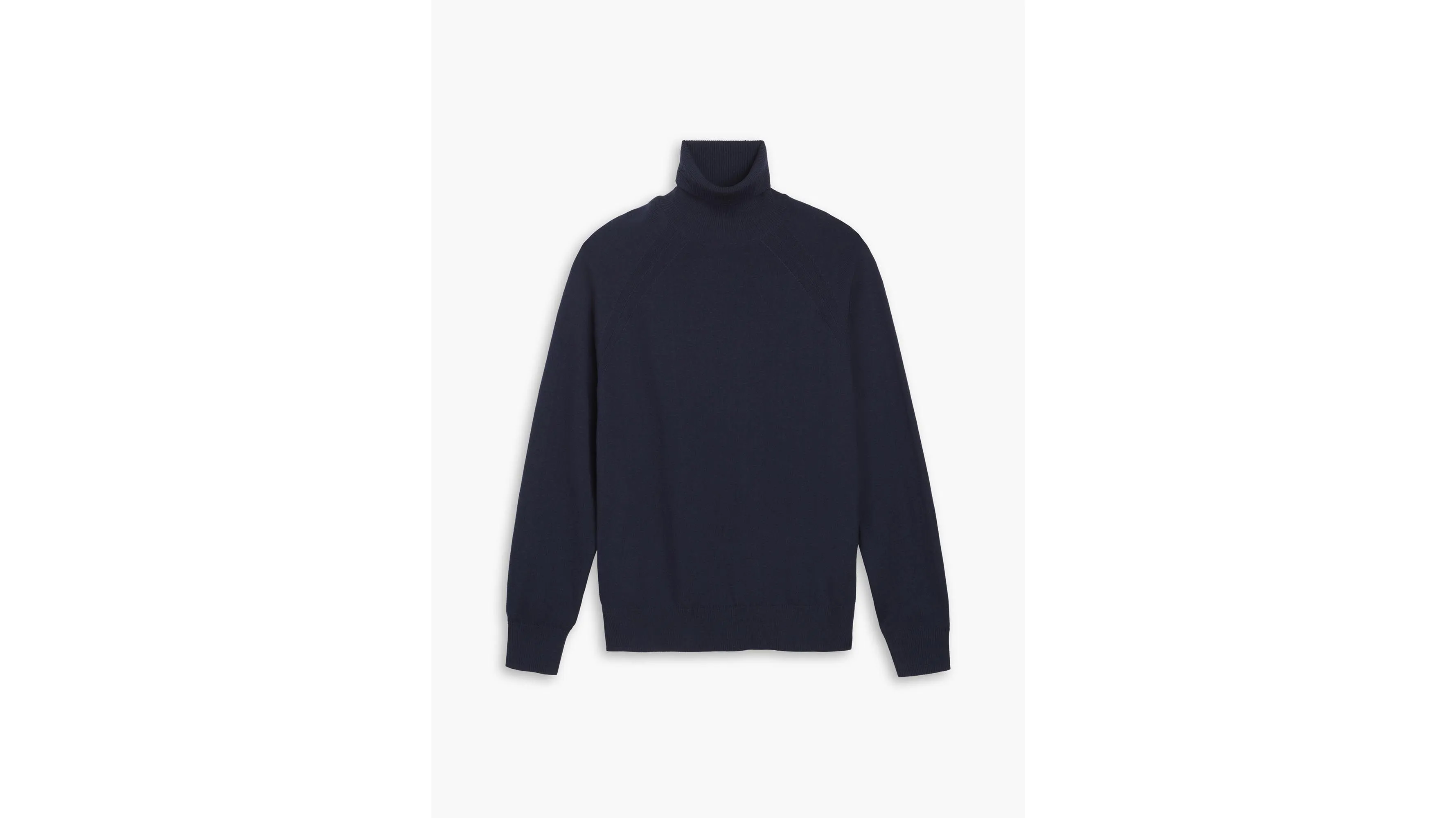 Men's Regular Fit Turtleneck Sweater
