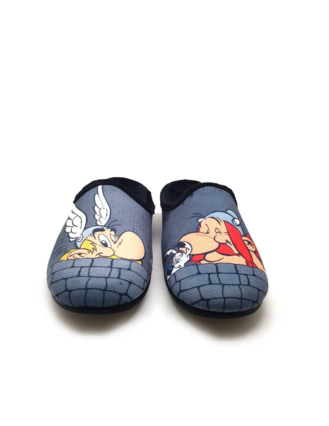 MURO ZAPATILLA CASA HOMBRE ASTERIS Y OBELIS 9824