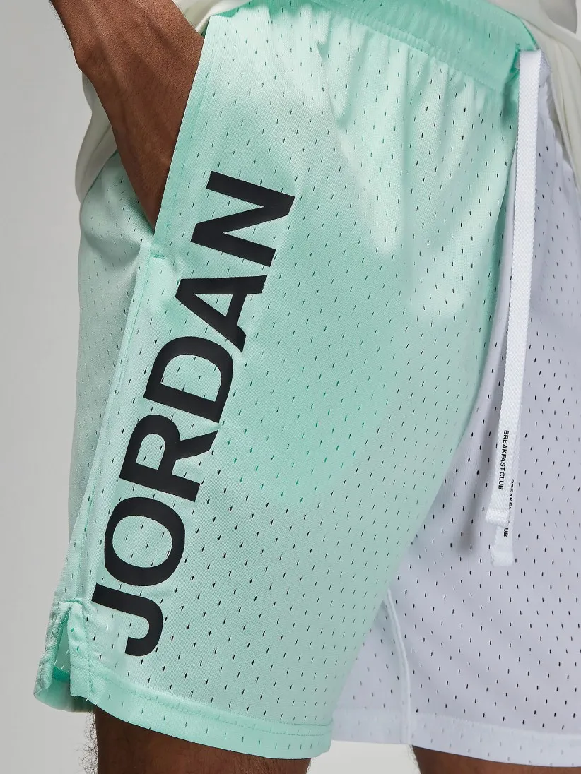 Pantalones Cortos Nike Jordan Sport Mesh Graphic