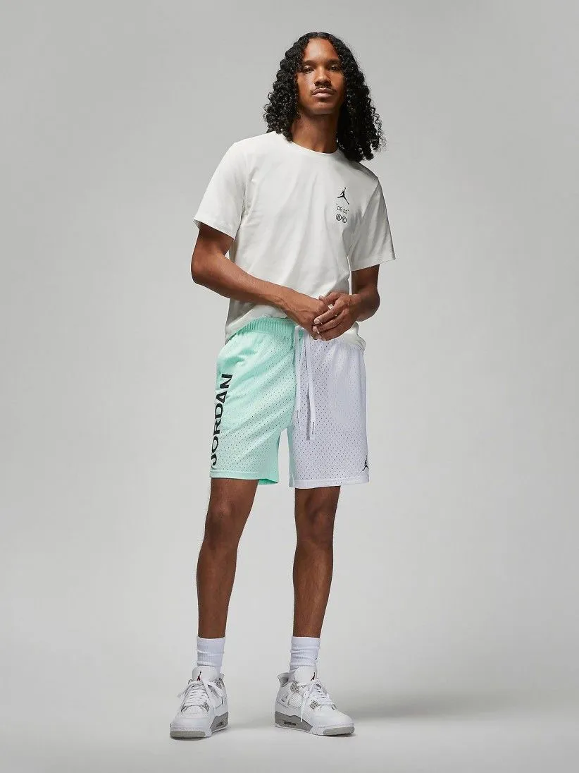 Pantalones Cortos Nike Jordan Sport Mesh Graphic