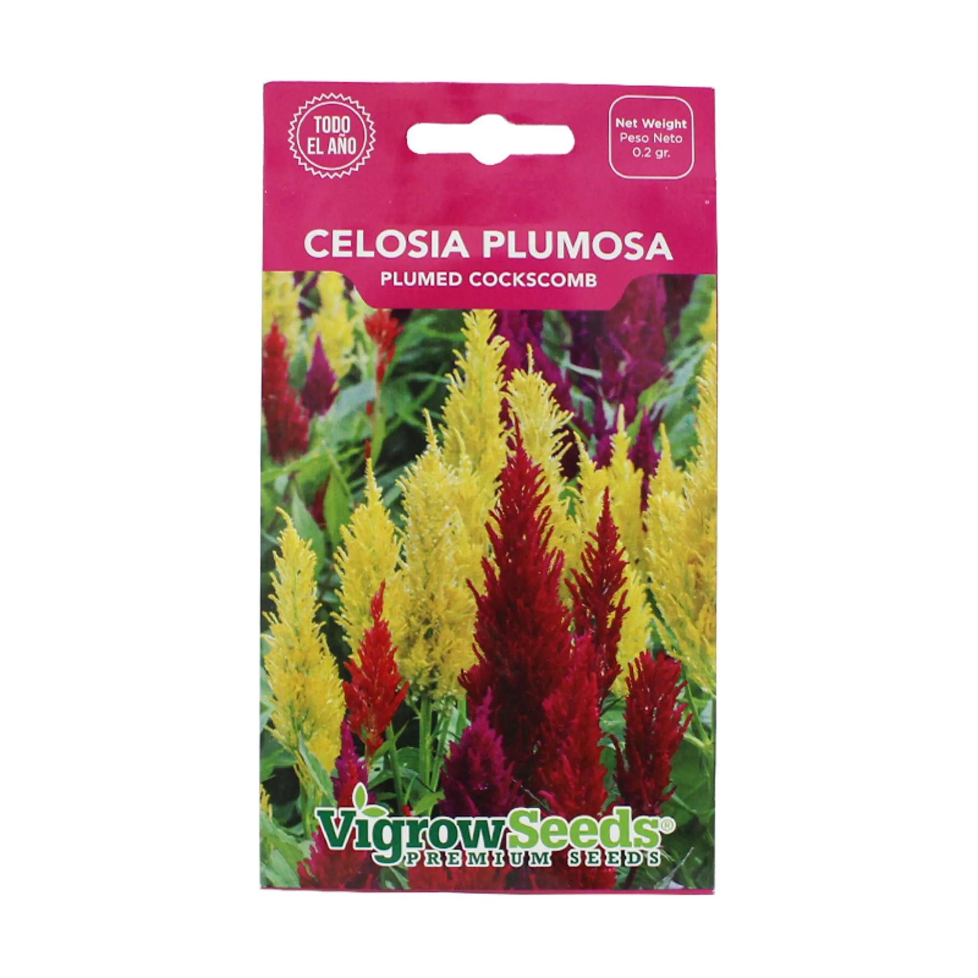 Semillas Flor Celosia Plumosa Surtida