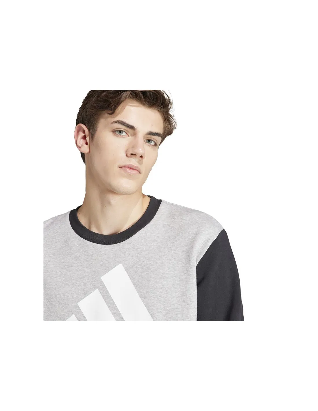 Sudadera adidas Essentials Big Logo Hombre Gris