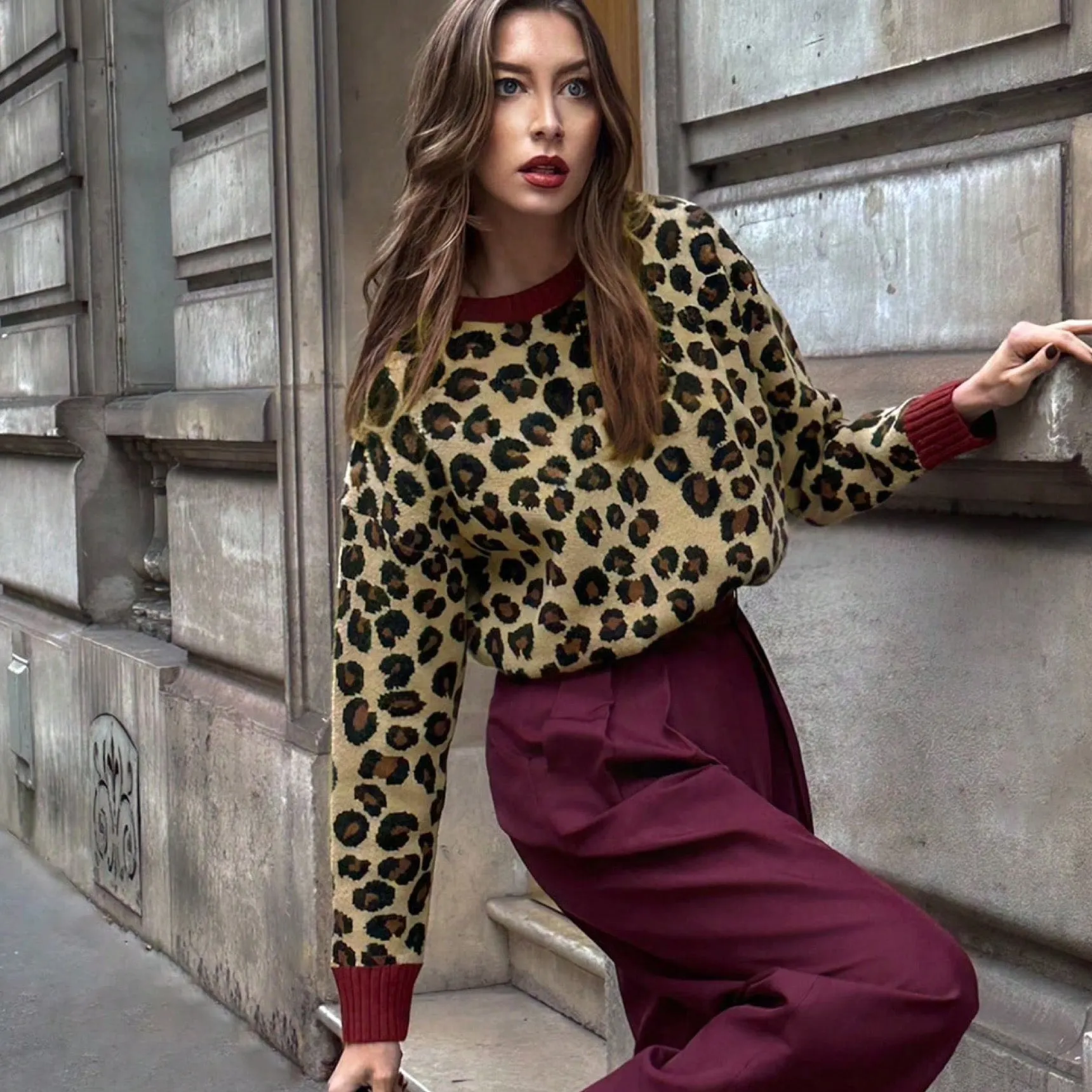 Sweater animal print